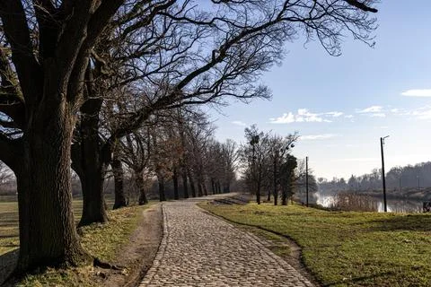 Spring park with cobblestone path by the river and trees without leaves. Sp.. Stock Photos