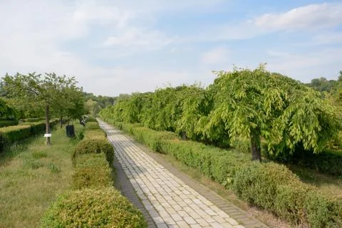 Spring park with decorative trees Stock Photos
