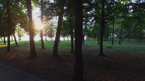 Spring park drowned in the shade of trees. Stock Footage 128279354