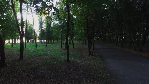 Spring park drowned in the shade of trees. Video stock 128279371