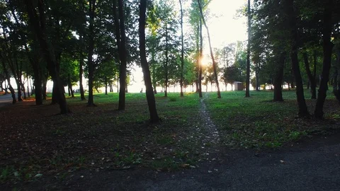 Spring park drowned in the shade of trees. Video stock 128281675