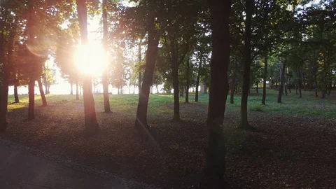 Spring park drowned in the shade of trees. Video stock 128281776