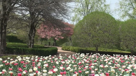 Spring in the Park Stock Footage 3179614