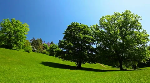 Spring park Stock Footage 50364753