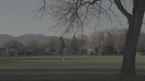 Spring at the park 库存影片 153068158