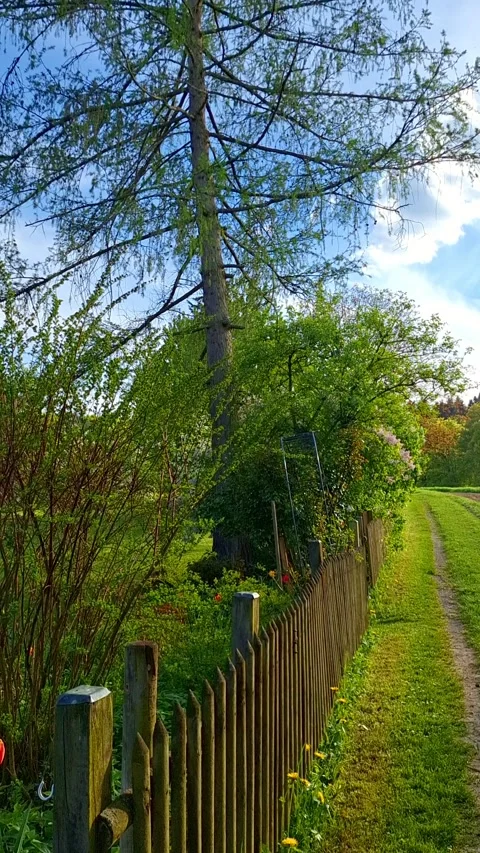 Spring in the park Irchel in Zurich Video stock 337799378