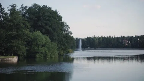 Spring Park. Lake in the spring park. Spring landscape. Evening Park with a Stock Footage 83143017