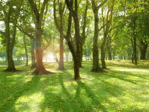 Spring Park landscape Stock Photos