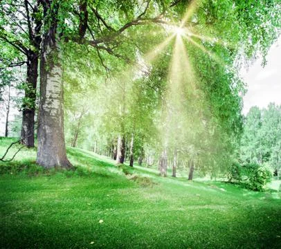 Spring park landscape Stock Photos