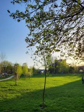 Spring Park Landscape at Sunset Light Stock Photos