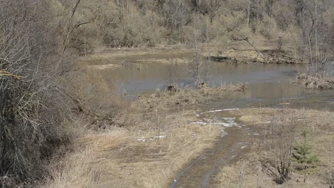 Spring Park with last year's grass and a pond after the snow blown by the wind Stock Footage 89610948
