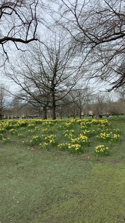 Spring park in London Video stock 319403110