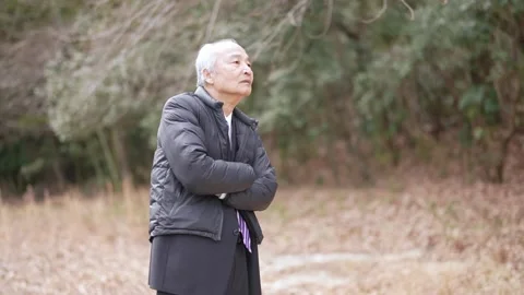 In a spring park, a man in his 70s wearing a suit and down jacket stands talking Stock Footage 307735493