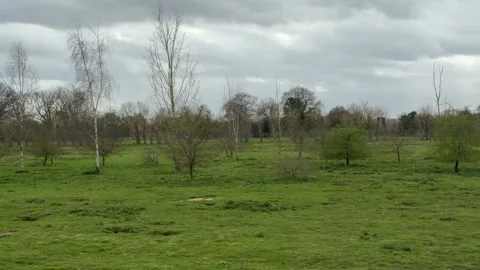 Spring park meadow with bare trees panning Stock Footage 330948205
