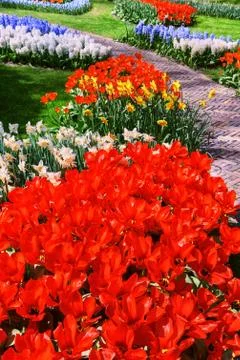 Spring park with multicolor flowers Stock Photos