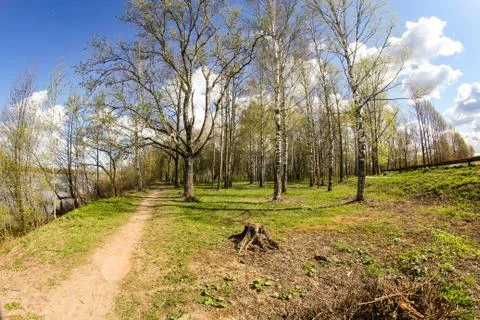 Spring park near the river. Stock Photos