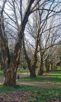 Spring park Stock Photos