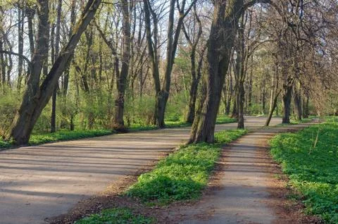 Spring park Stock Photos