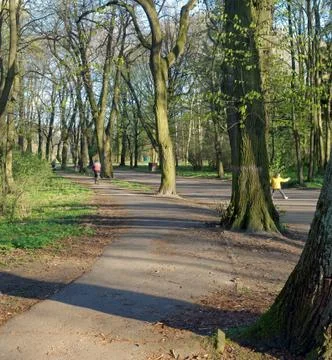 Spring park Stock Photos