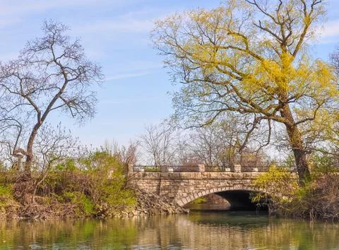 Spring in park Stock Photos