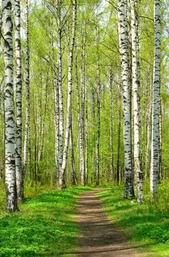 Spring park Foto stock