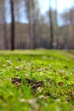 Spring park 库存照片