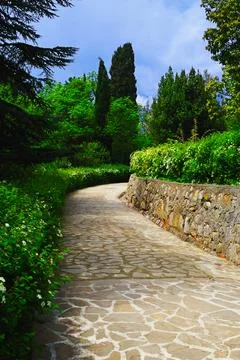 Spring park Stock Photos