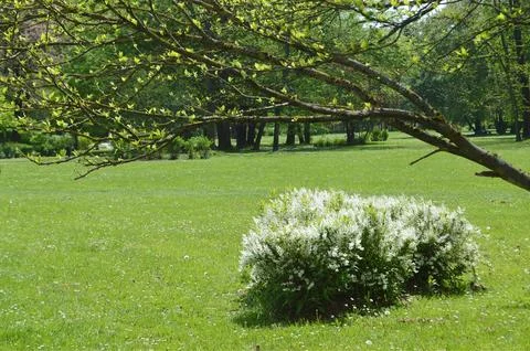 Spring in the park Foto stock