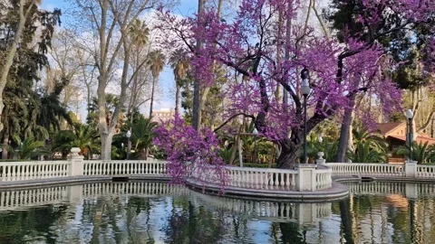 Spring in the park with pond Parc Ribalta Video stock 237234262