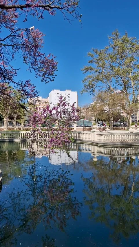 Spring in the park with pond Parc Ribalta. Video stock 239181872