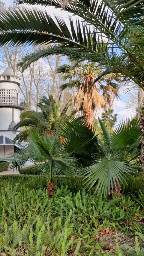 Spring in the park with pond Parc Ribalta. Stock Footage 240482842