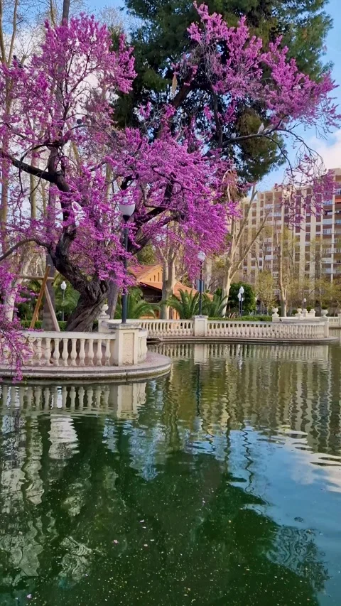 Spring in the park with pond Parc Ribalta. Stockbeeldmateriaal 299725172