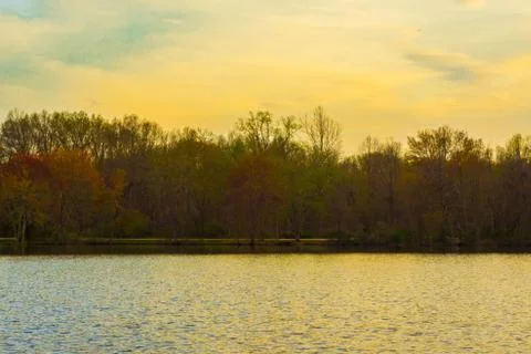 Spring park sunset Stock Photos