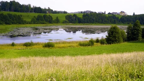 Spring park view with a valley and the lake or pond Stock-Footage 94643546