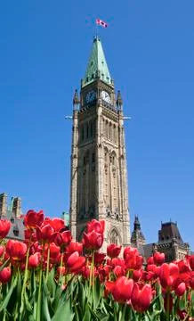 Spring parliament Stock Photos