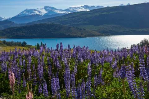 Spring in Patagonia Stock Photos