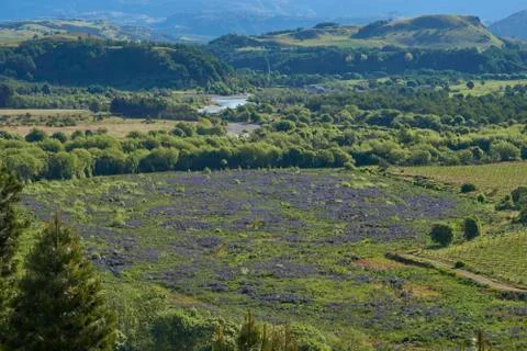 Spring in Patagonia Stock Photos