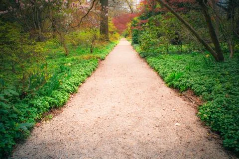 Spring path Stock Photos
