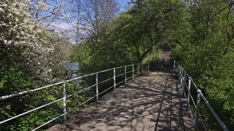 Spring Pathway with Blossoming Trees and Garden Stairs Stock Footage 309424928
