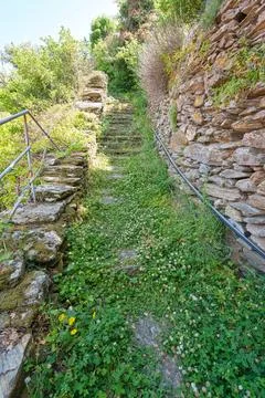 Spring Pathway Through Wildflowers in the Mountains of Andros Island, Greece. Stock Photos