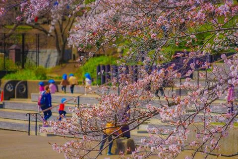 Spring pattern at Kishine Park Stock Photos