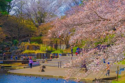 Spring pattern at Kishine Park Stock Photos