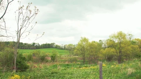Spring in pennsylvania Stock Footage 75462851