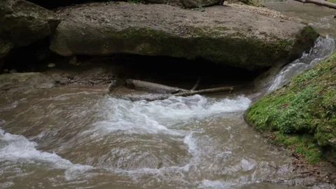 Spring period, park, shallow river in mountainous area bottleneck Stock Footage 274478884