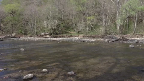 Spring period, park, shallow river in a mountainous area Stock Footage 276521626