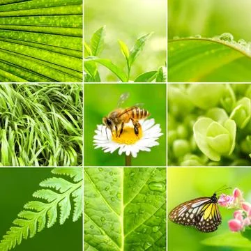 Spring. Stock Photos