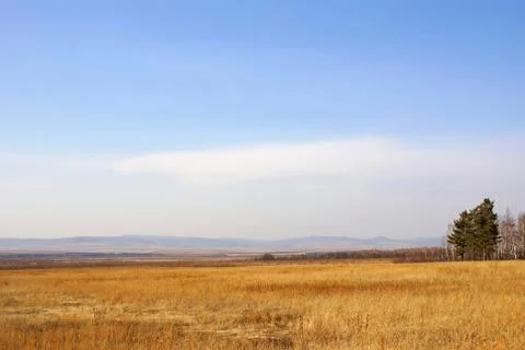 Spring. Stock Photos