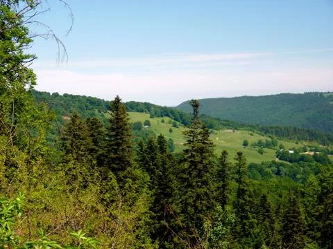 Spring  Stock Photos