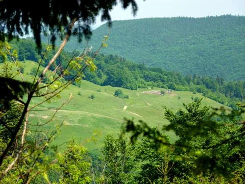 Spring  Stock Photos