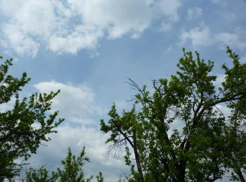 Spring  Stock Photos